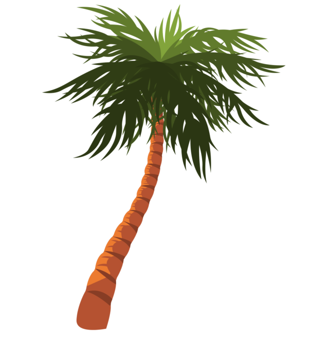 Palmtree2.png